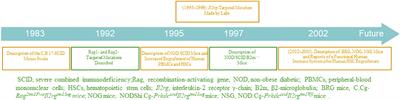 Benefits and limitations of humanized mouse models for human red blood cell-related disease research